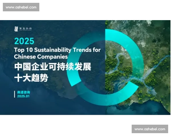 企业社会责任视角下的可持续发展战略与社会价值创造路径探索