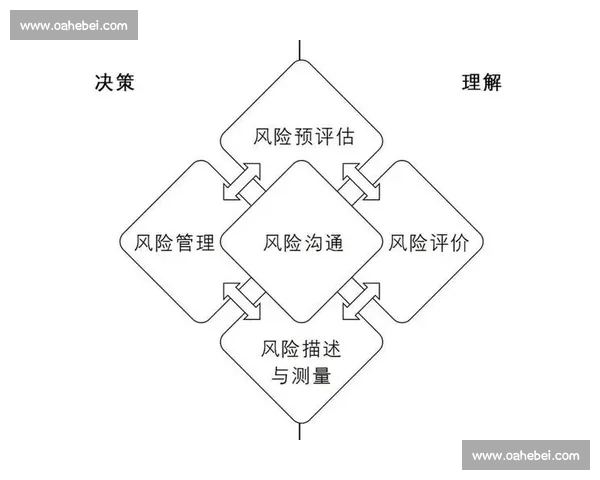 以风险管控为核心的全流程治理与稳健发展体系建设研究路径探索